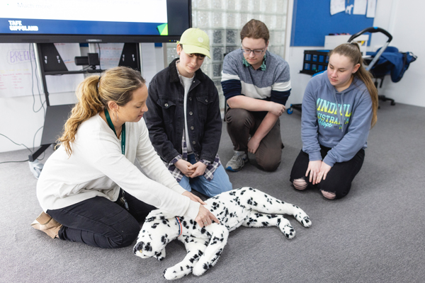 Animal science studies with dog model