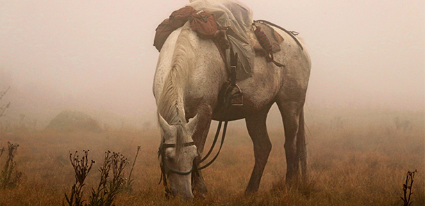 Grey Ghost - 2022 student photography exhibition winner