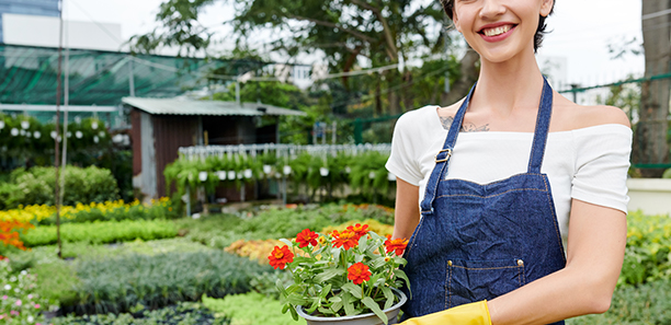 gardening and horticulture concept