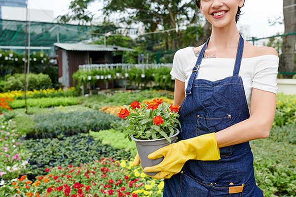 gardening and horticulture concept